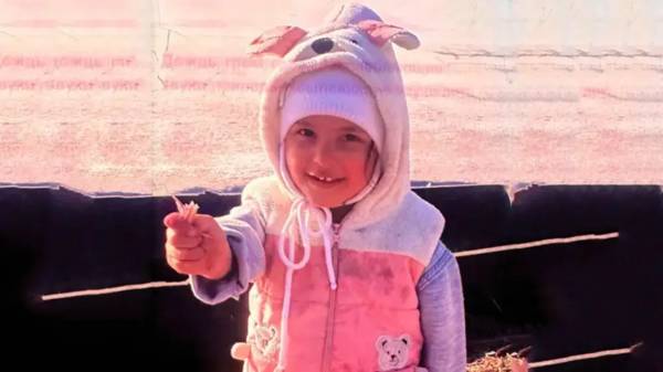 К розыску трехлетней Айя-Софии в Енбекшиказахском районе привлекли военных