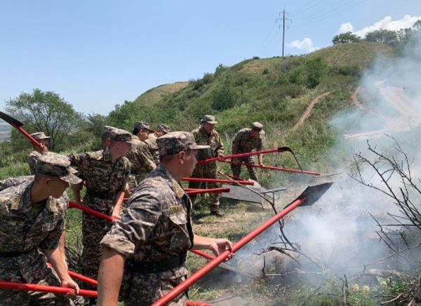 Ущерб от возгорания травы в Алматинской области с начала жары превысил 19 миллионов тенге