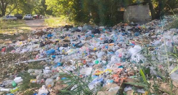 Озеро, принадлежащее частному лицу в Карасайском районе, завалили мусором
