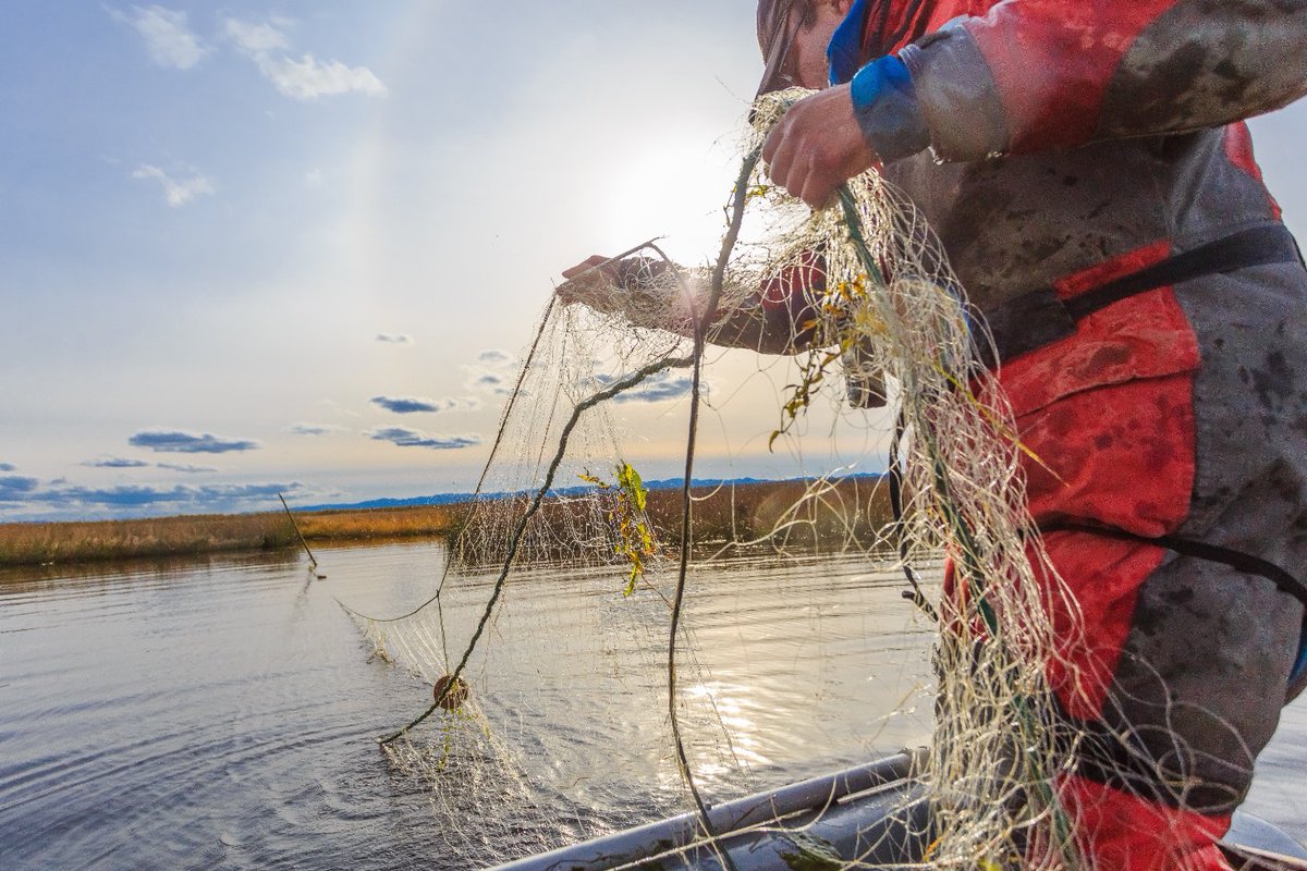 100 кг незаконно пойманной рыбы изъяли у браконьеров в Енбекшиказахском районе