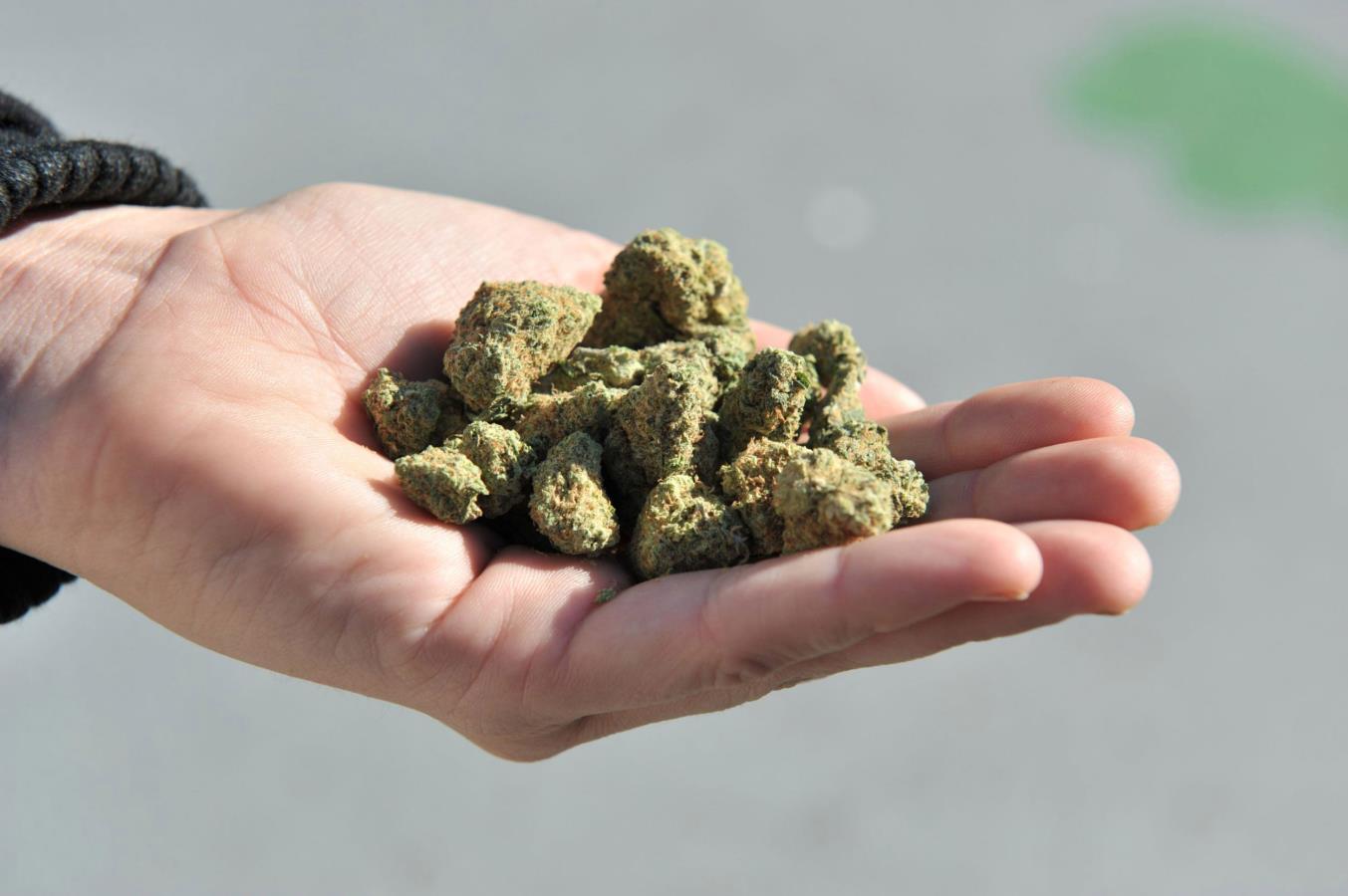 «Синтетику», гашиш и марихуану обнаружили у сельчанина в Талгарском районе 