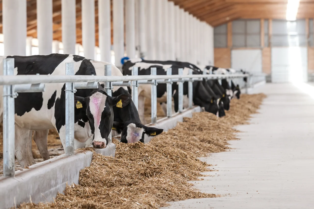В Талгарском районе планируют строительство молочно-товарной фермы и завод по производству медизделий