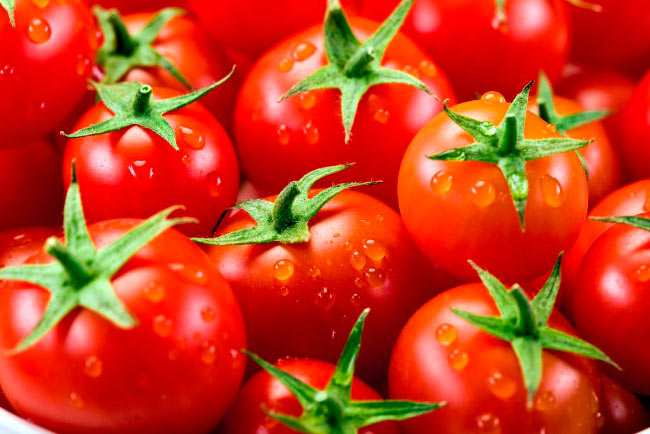 Россия запретила поставки томатов из Алматинской области: в них обнаружили опасный вирус