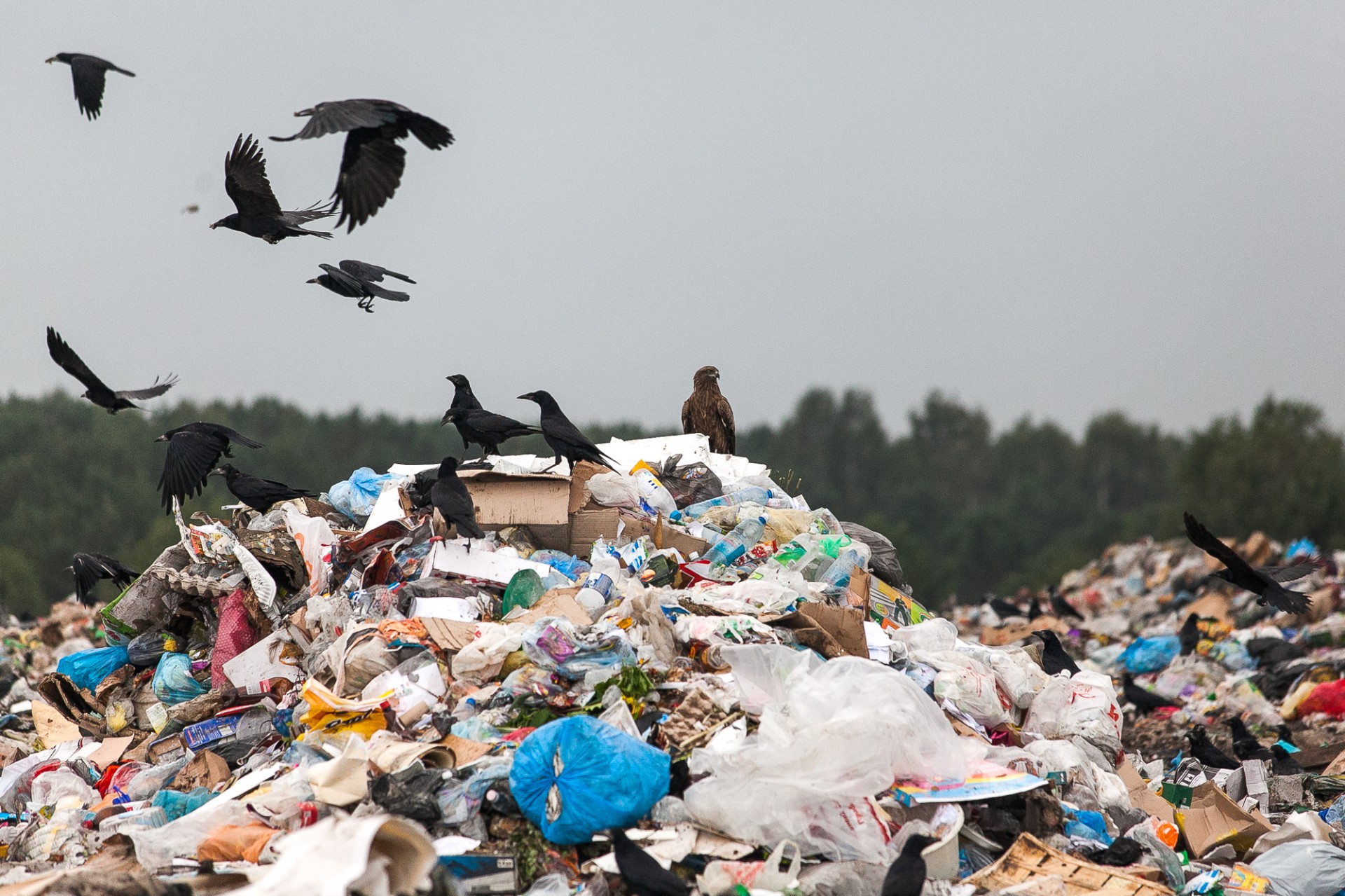 «Полная антисанитария»: жители Есика жалуются на большое количество мусора