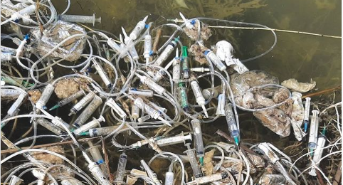 Тысячи шприцев на побережье Капшагая: медицинские отходы были убраны