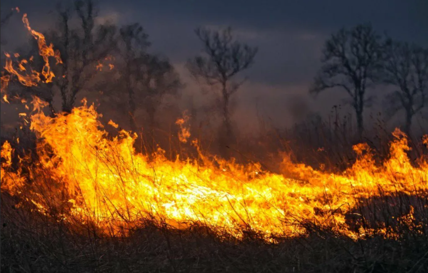 20 гектаров сухой травы и смешанного леса горело в Есельдинском районе