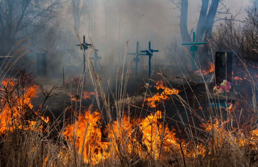 Пожар на православном кладбище произошел в Талгарском районе