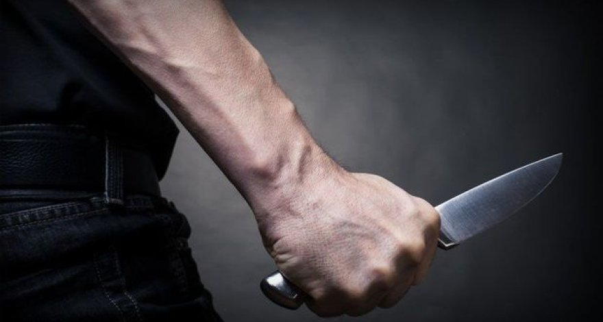 Пенсионер ударил кухонным ножом односельчанина в Енбекшиказахском районе