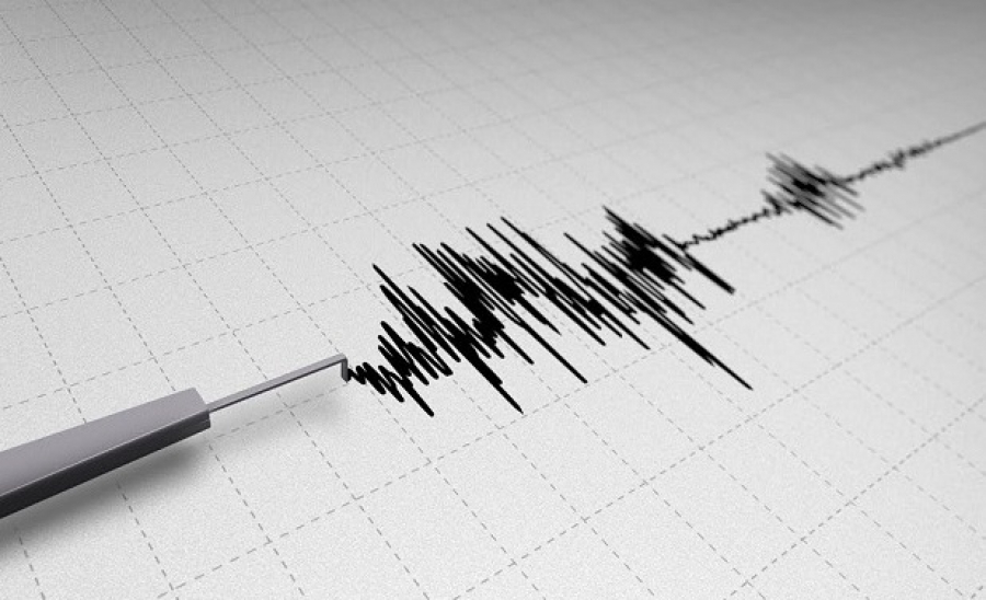 Землетрясение было зафиксировано в Енбекшиказахском районе