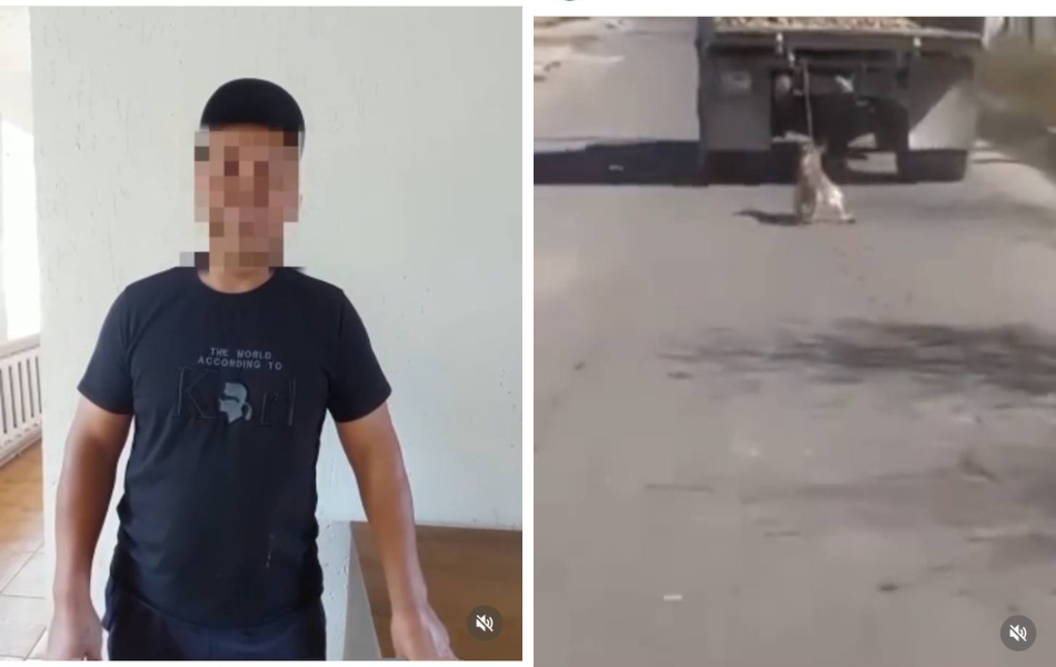 «Собаку привязали неизвестные»: Водитель из нашумевшего ролика про собаку записал видеообращение