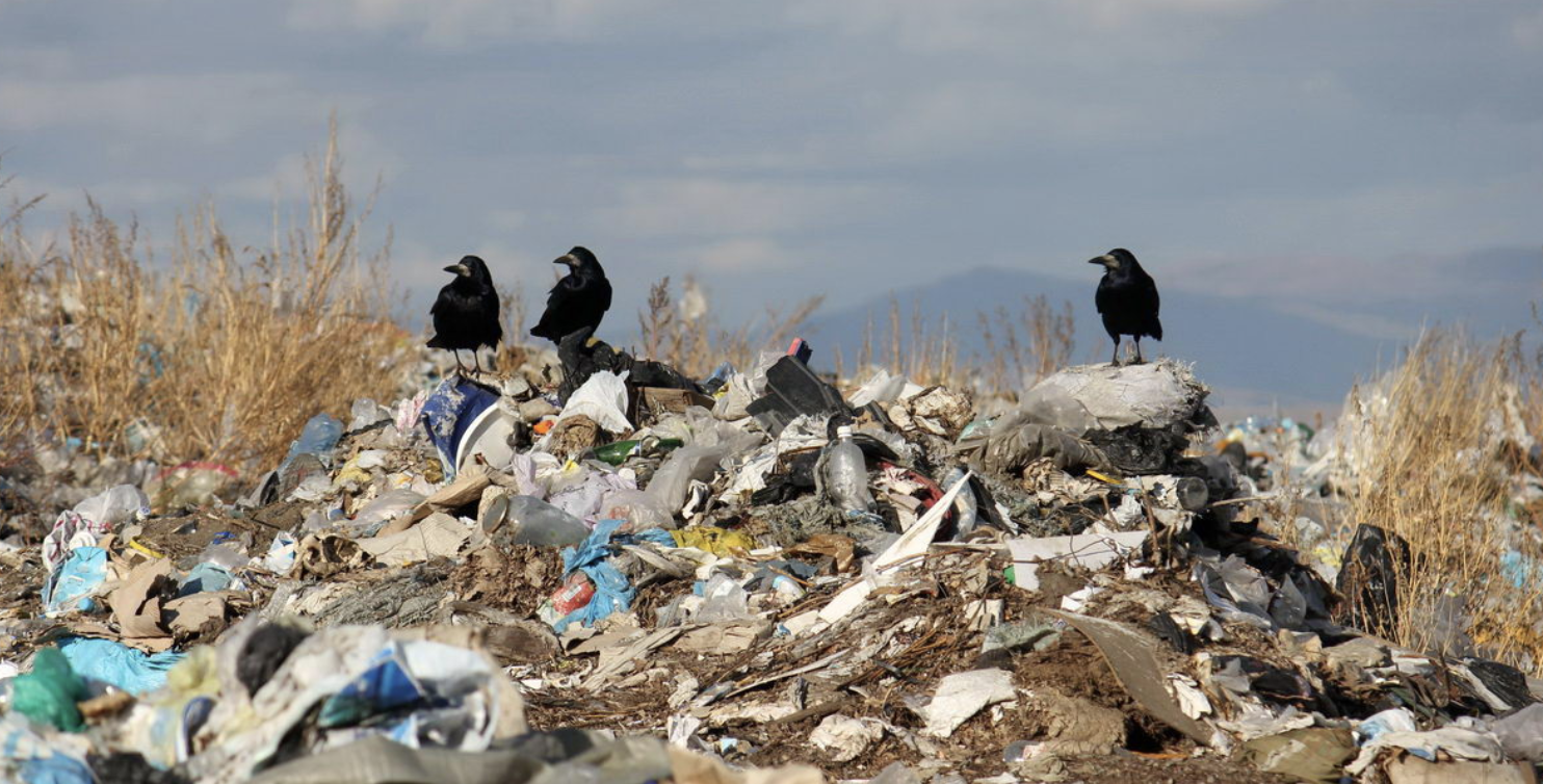 Несколько сел в Райымбекском районе утопают в мусоре