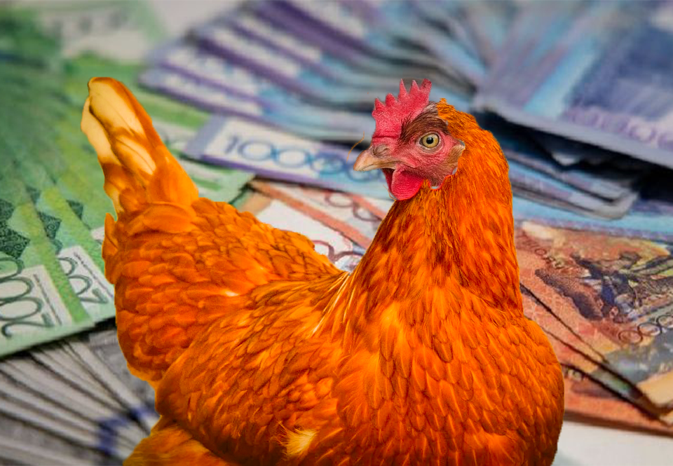 Цены на мясо кур и окорочка подорожали в Казахстане: Алматинская область лидер по количеству произведенного мяса птицы
