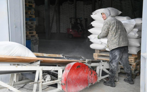 4 млрд тенге на развитие: в Алматинской области увеличат глубокую переработку кукурузы