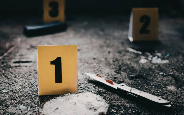 Убийство 2006 года раскрыто в Алматинской области: третий соучастник получил 16 лет