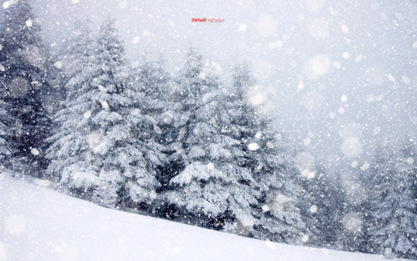 Штормовое предупреждение объявлено в Алматинской области: какой будет погода в ближайшие дни