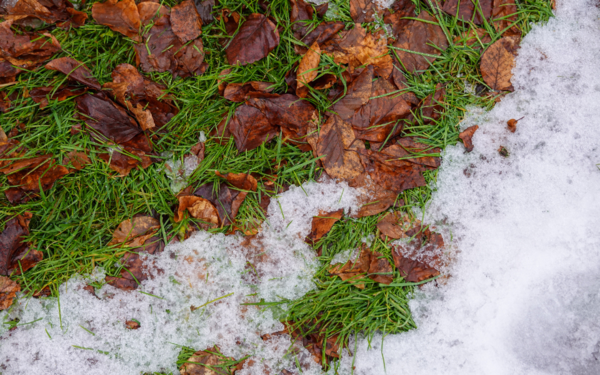 Потепление ждет Алматинскую область с 7 по 14 ноября