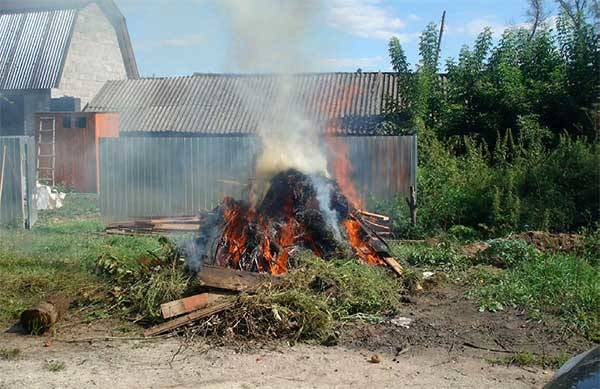 Какая ответственность грозит за сжигание травы и веток во дворах и на улицах Алматинской области