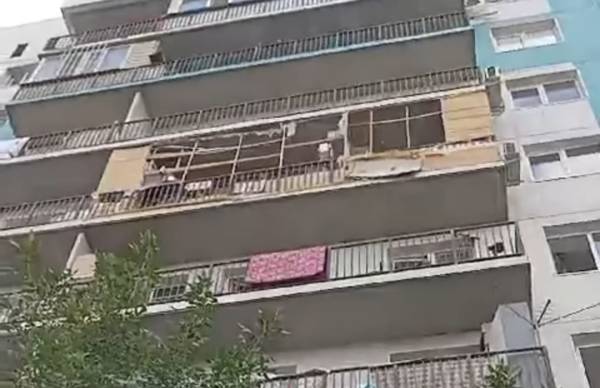 Жителя ЖМ «Асыл Арман» наказали за выброс котенка с 8 этажа