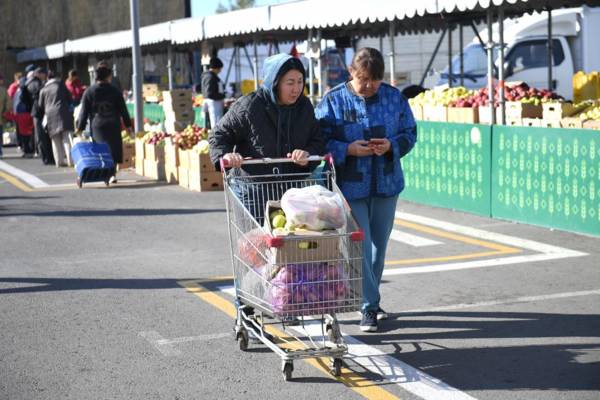 Красный апорт стал хитом в Астане: больше половины продукции из Алматинской области раскупили за день