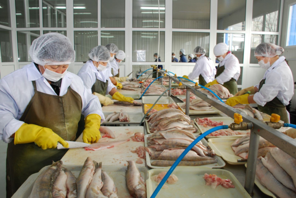 Директор рыбного хозяйства осужден за уклонение от налогов на сумму свыше 300 млн тенге