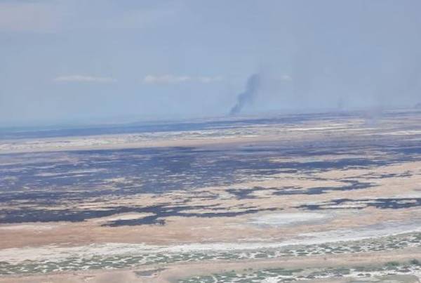 На Балхаше горит камыш: площадь возгорания 150 га