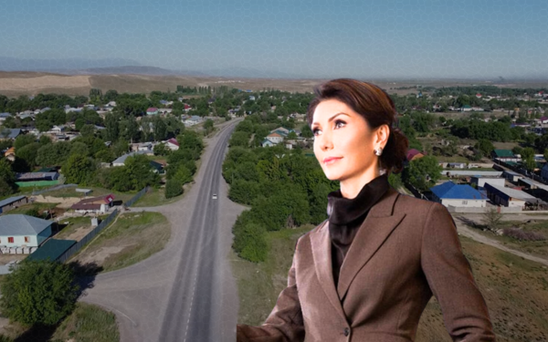 Более 500 гектаров земли были изъяты у Алии Назарбаевой в Алматинской области