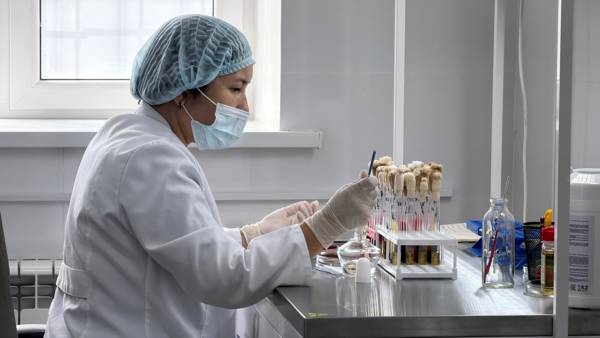 В Конаеве запустили лабораторию, которая поможет подобрать антибиотик против инфекции