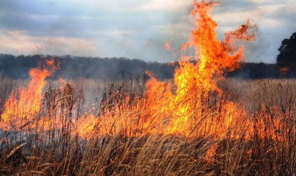 Сухая трава загорелась в Талгарском районе: расстояние до села Байбулак около километра