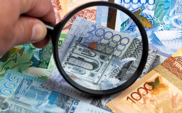 Как получить до 5 миллионов тенге социальному предпринимателю в Алматинской области