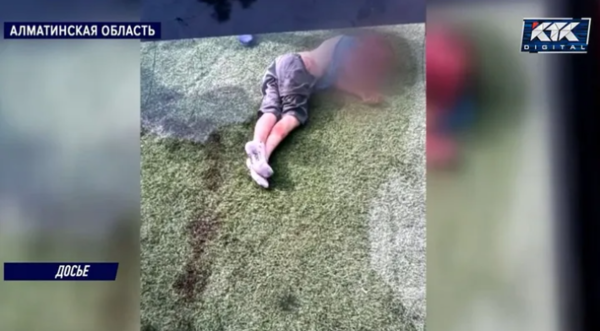 Хозяина собак, едва не загрызших ребенка в Алматинской области, судят спустя год после трагедии
