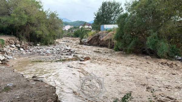 Из-за подъема воды в реке Тургень в Алматинской области эвакуировали 58 человек